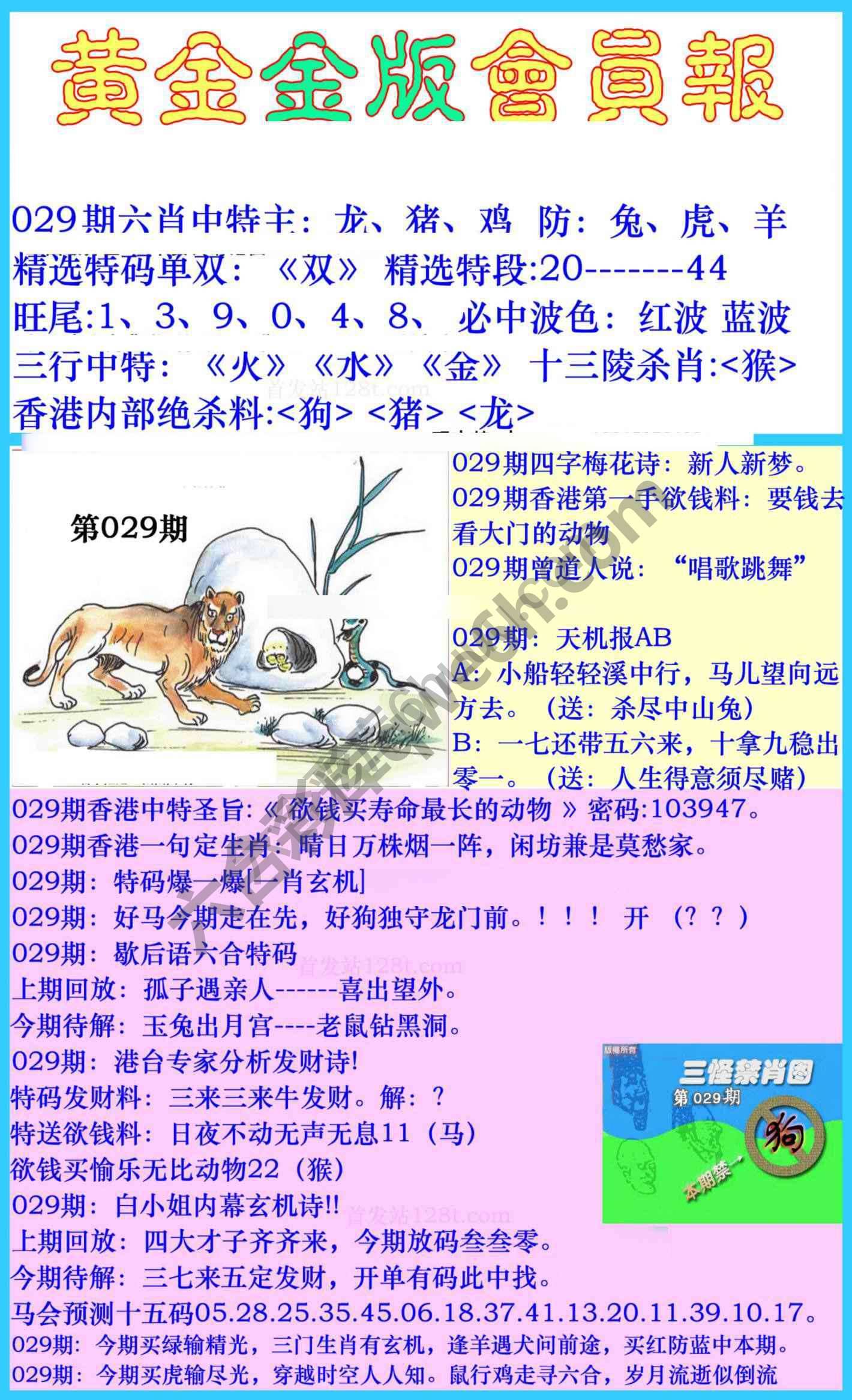 黄金金版会员报