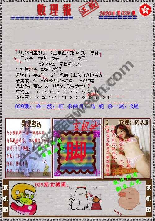 数理报