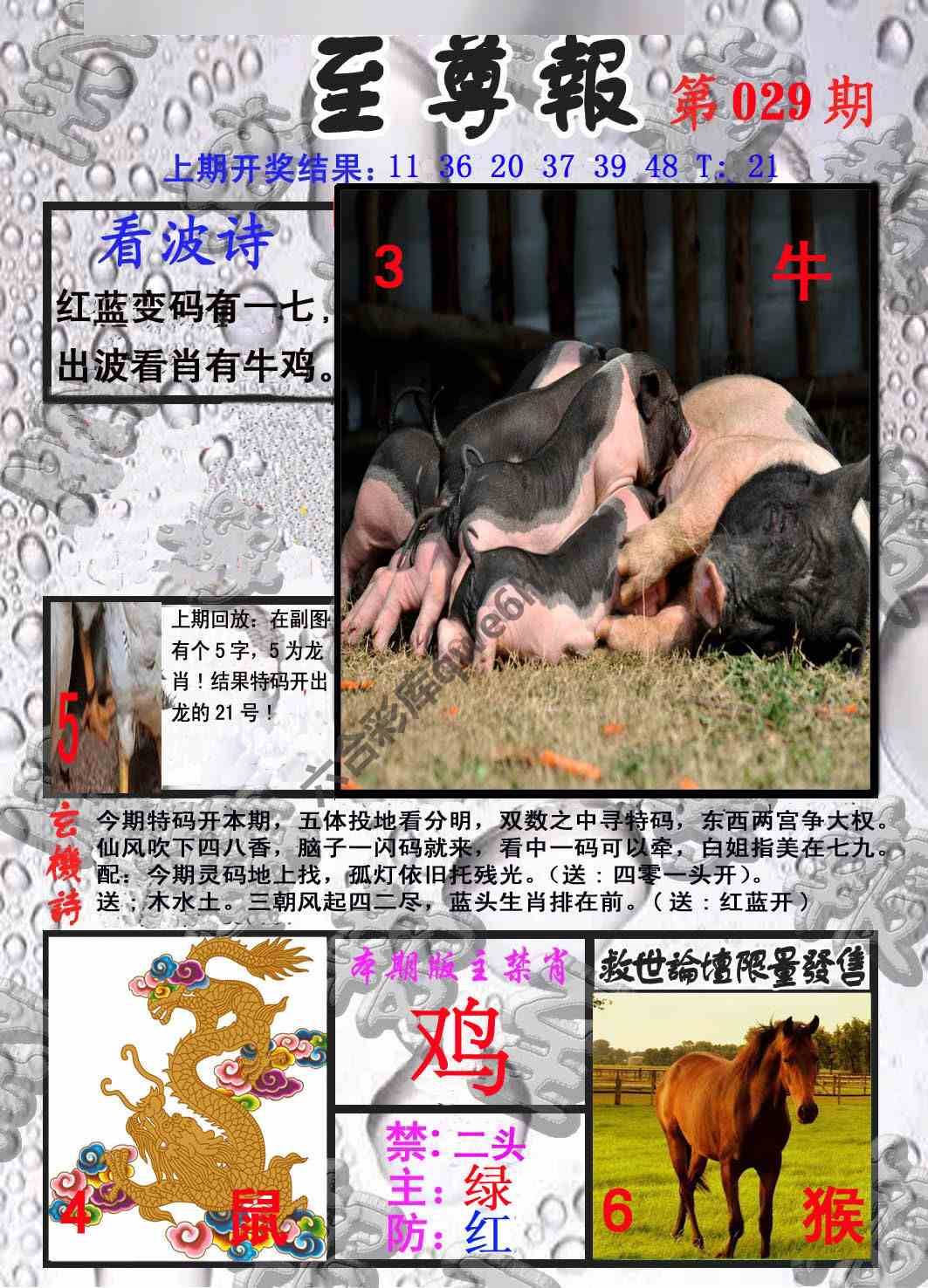至尊报