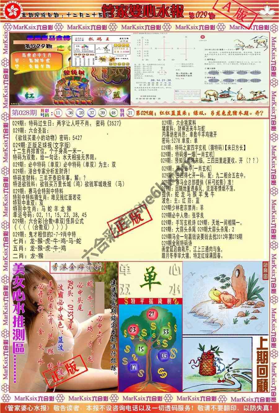 管家婆心水报