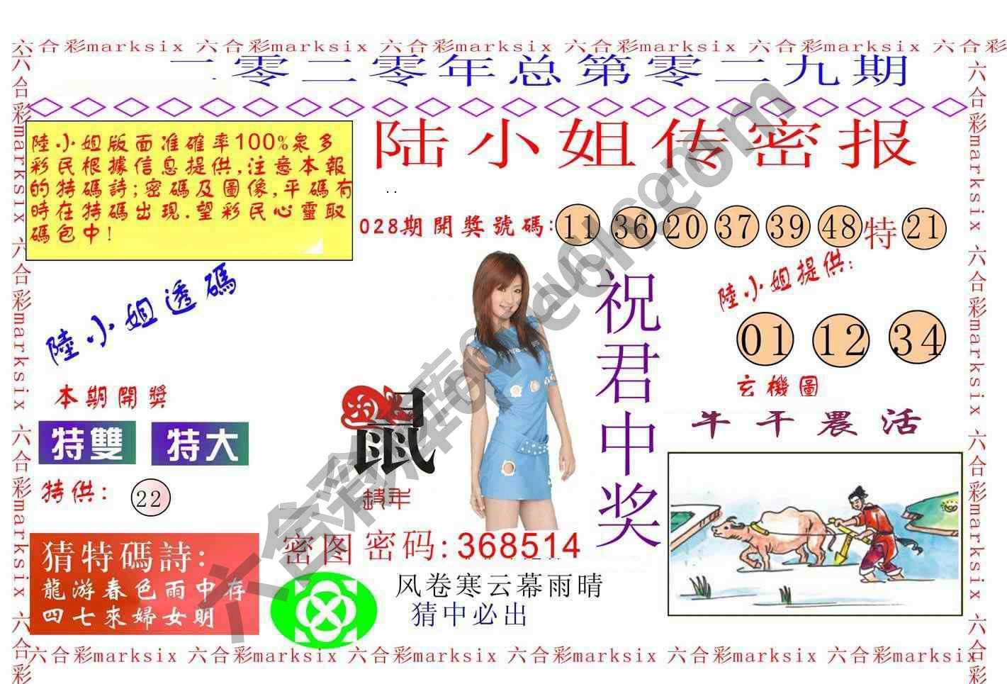 陆小姐传密