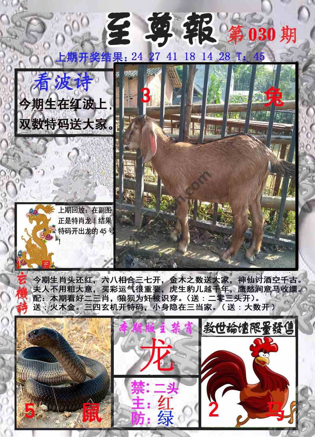 至尊报