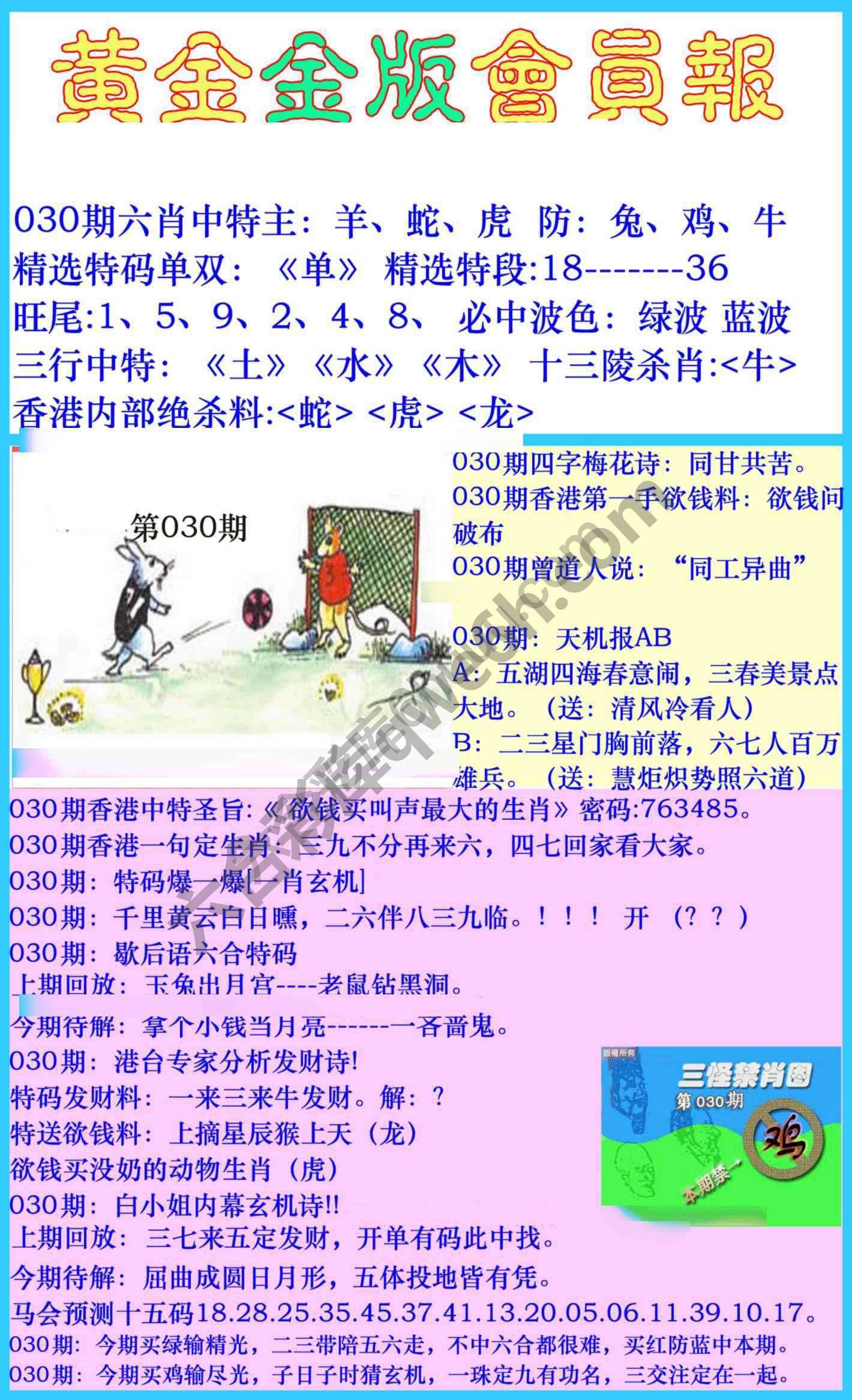 黄金金版会员报