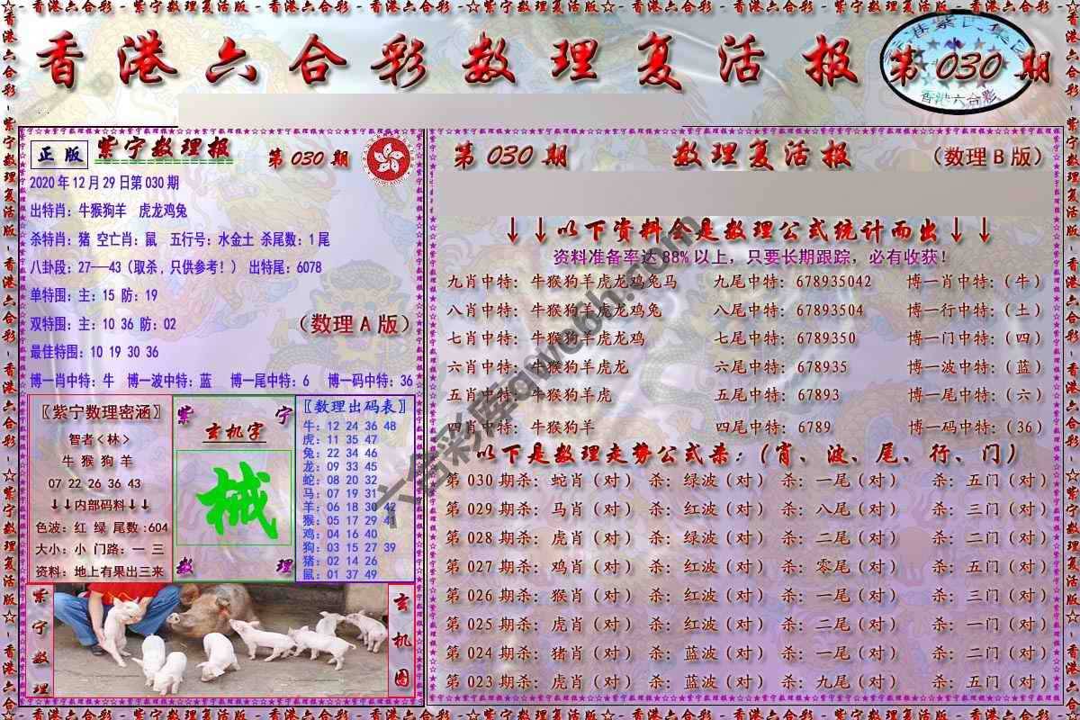 数理复活报