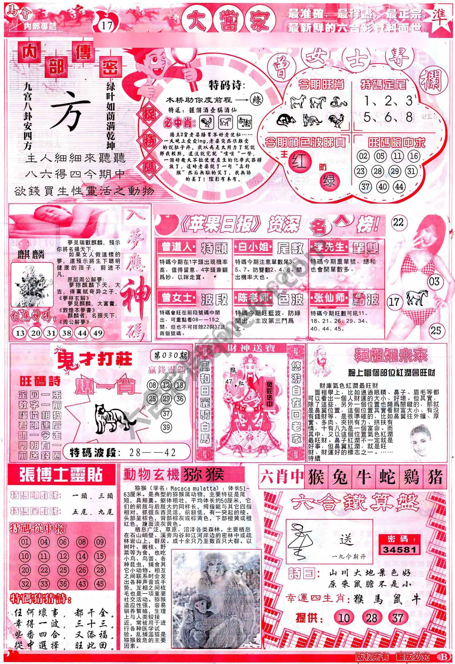 大当家