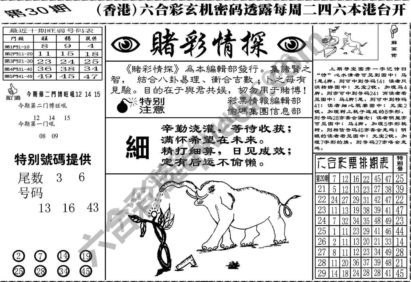 赌彩情探