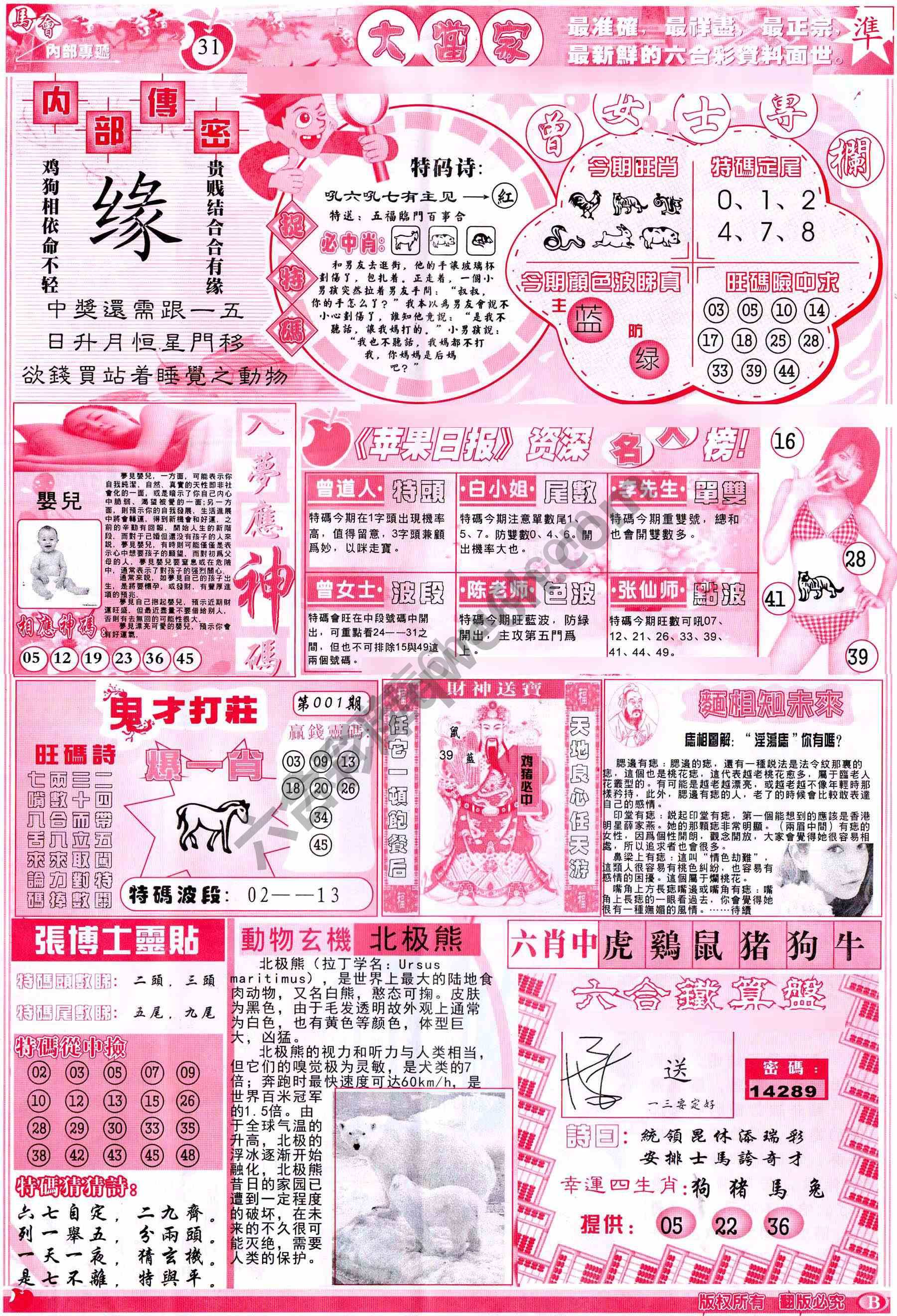 大当家