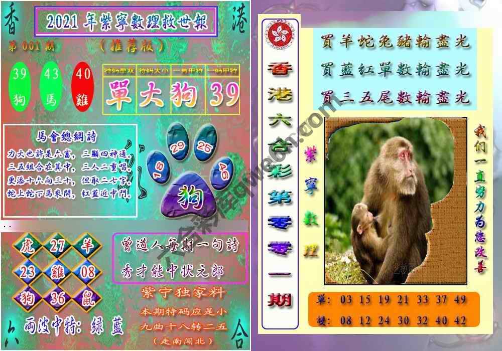 数理救世报