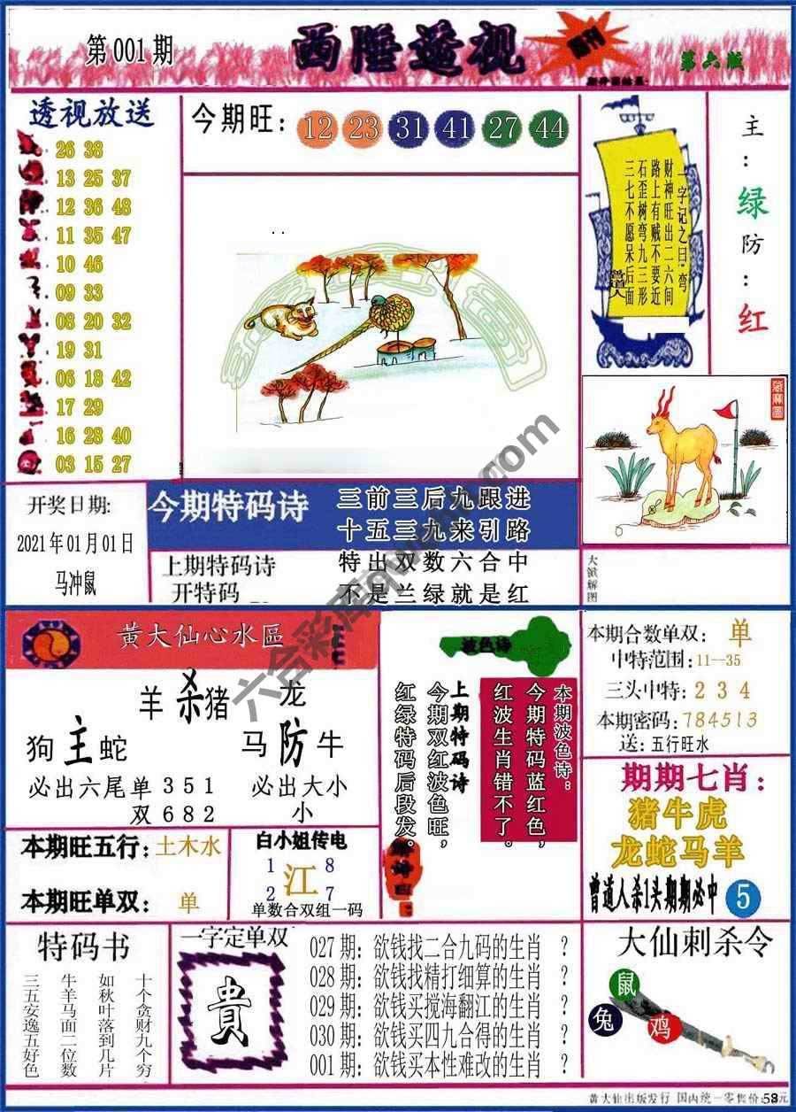 西陲透视（正版）