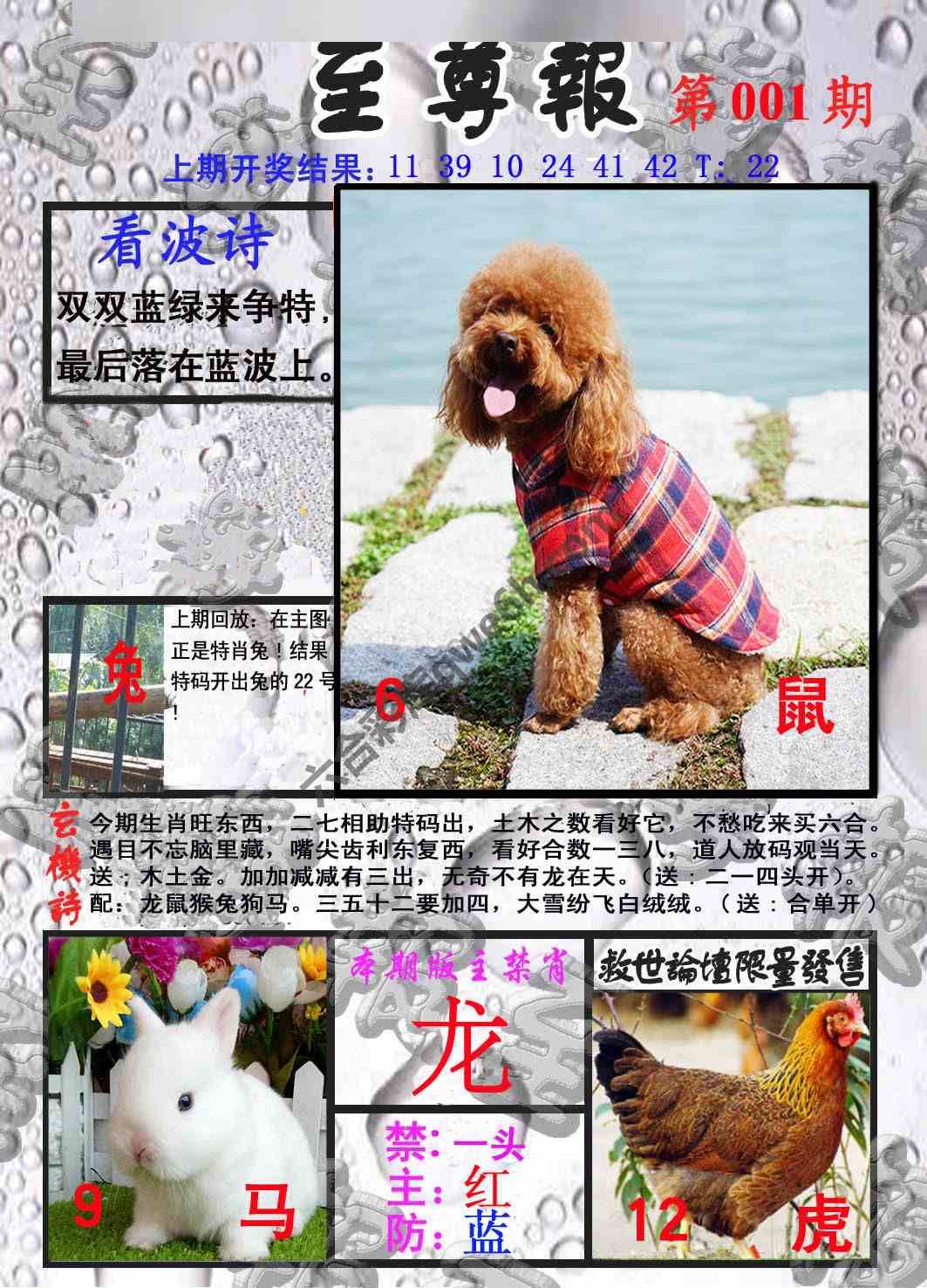 至尊报