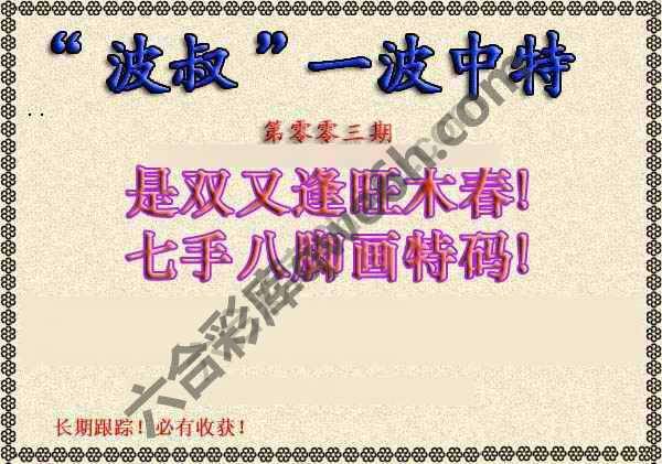 波叔一波中特