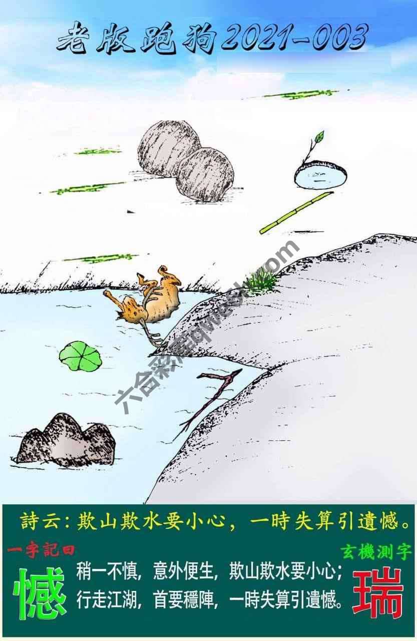 老版跑狗图
