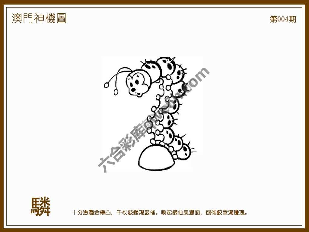 澳门神机图