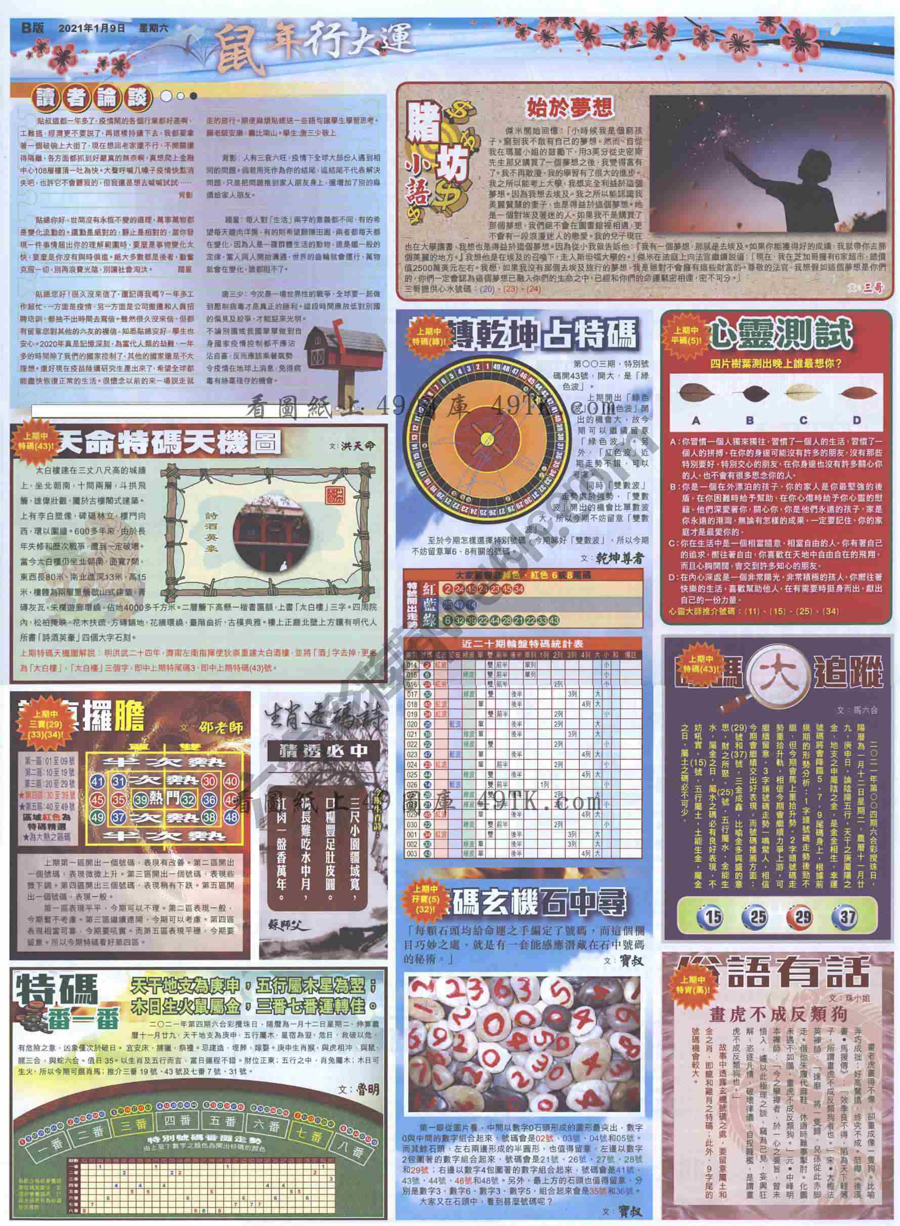 大版贴士皇