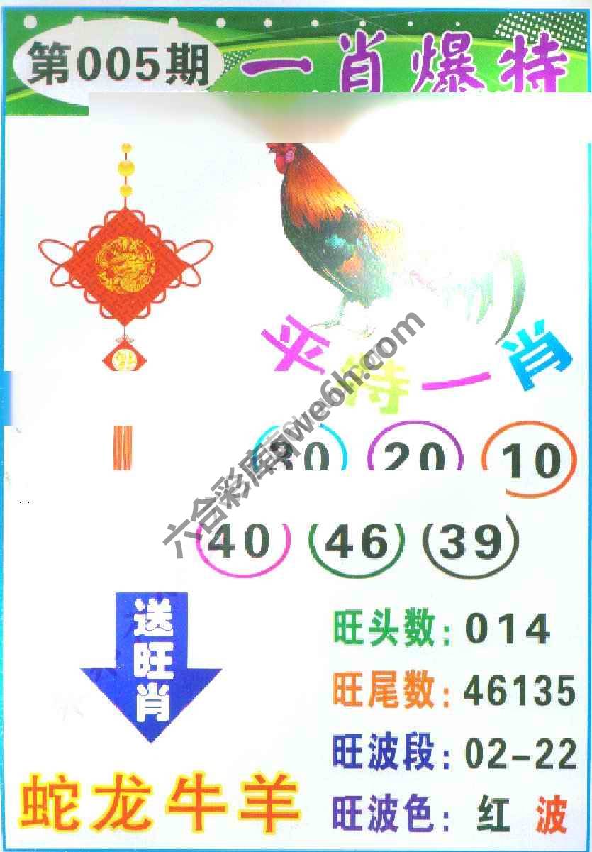 一肖爆特（新版）
