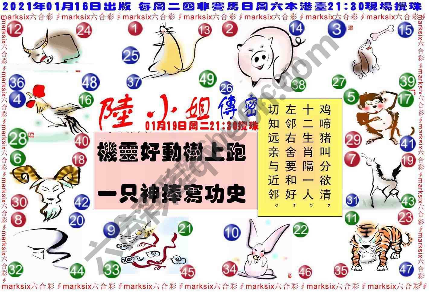 陆小姐传密