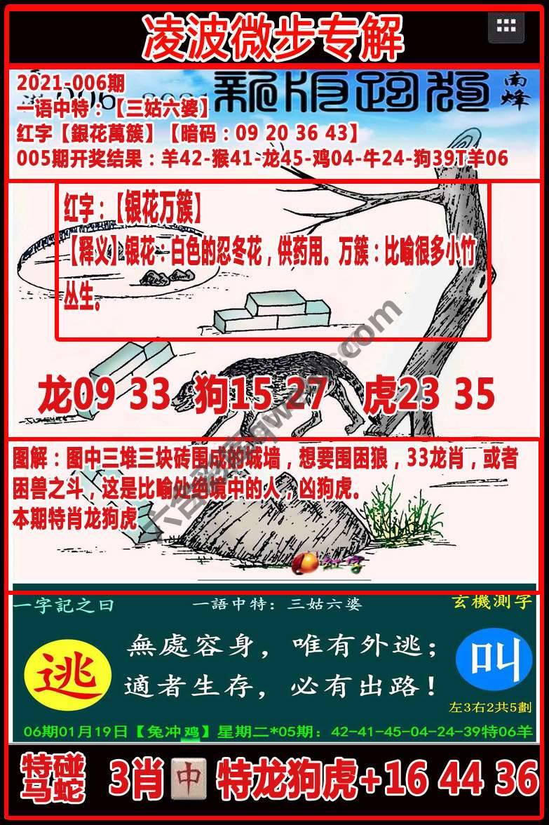 凌波微步解跑狗