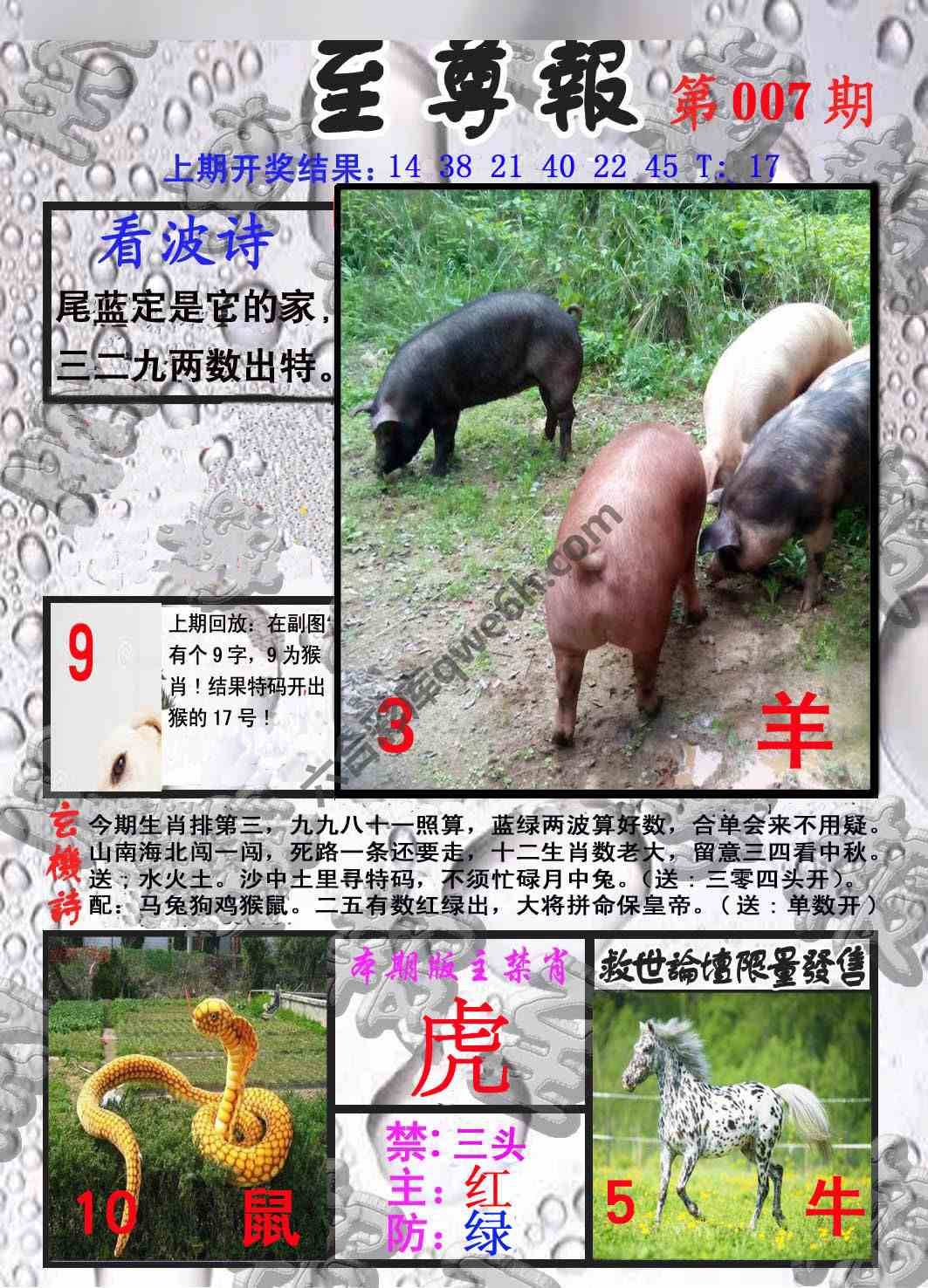 至尊报