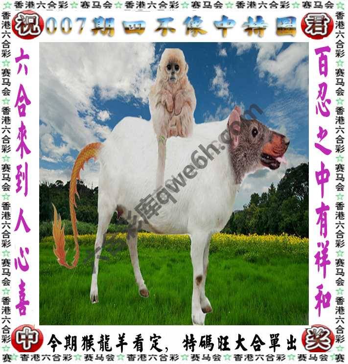 四不像中特图