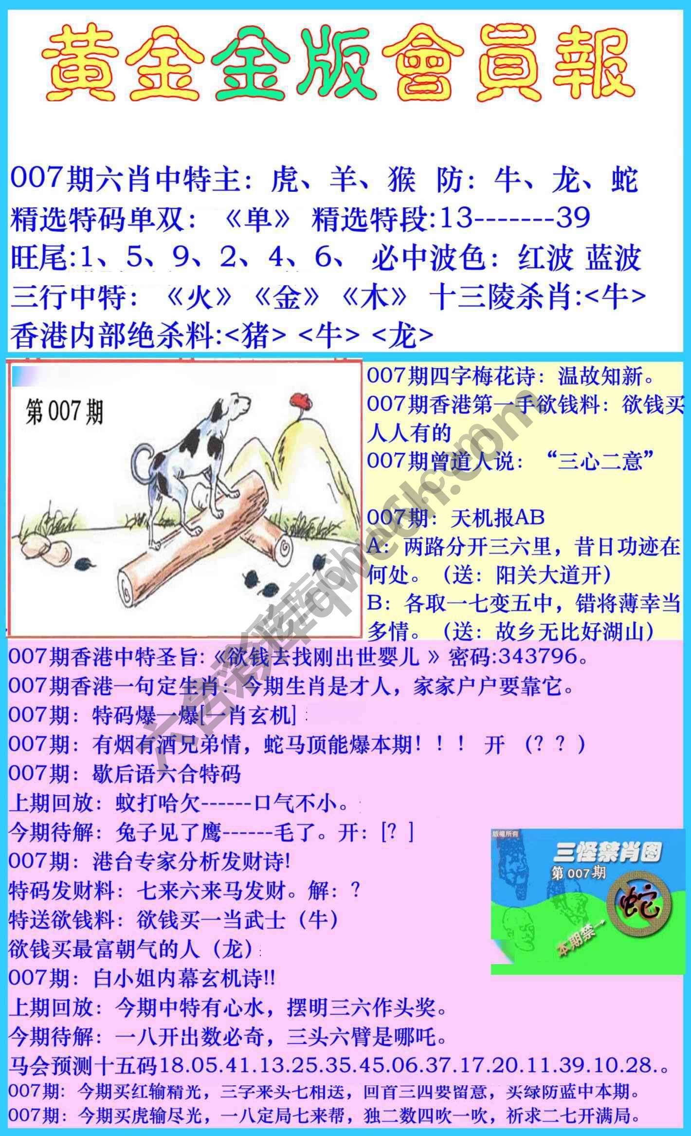 黄金金版会员报