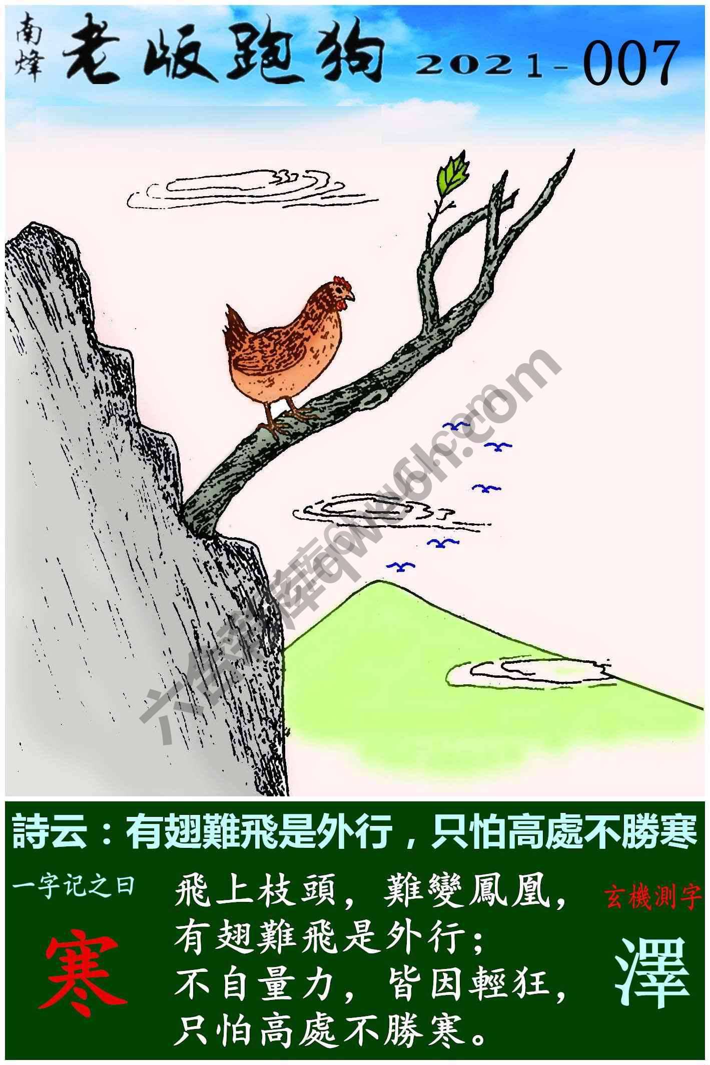 老版跑狗图