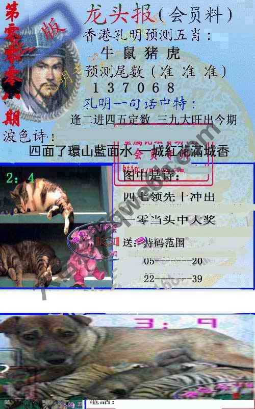 龙头报