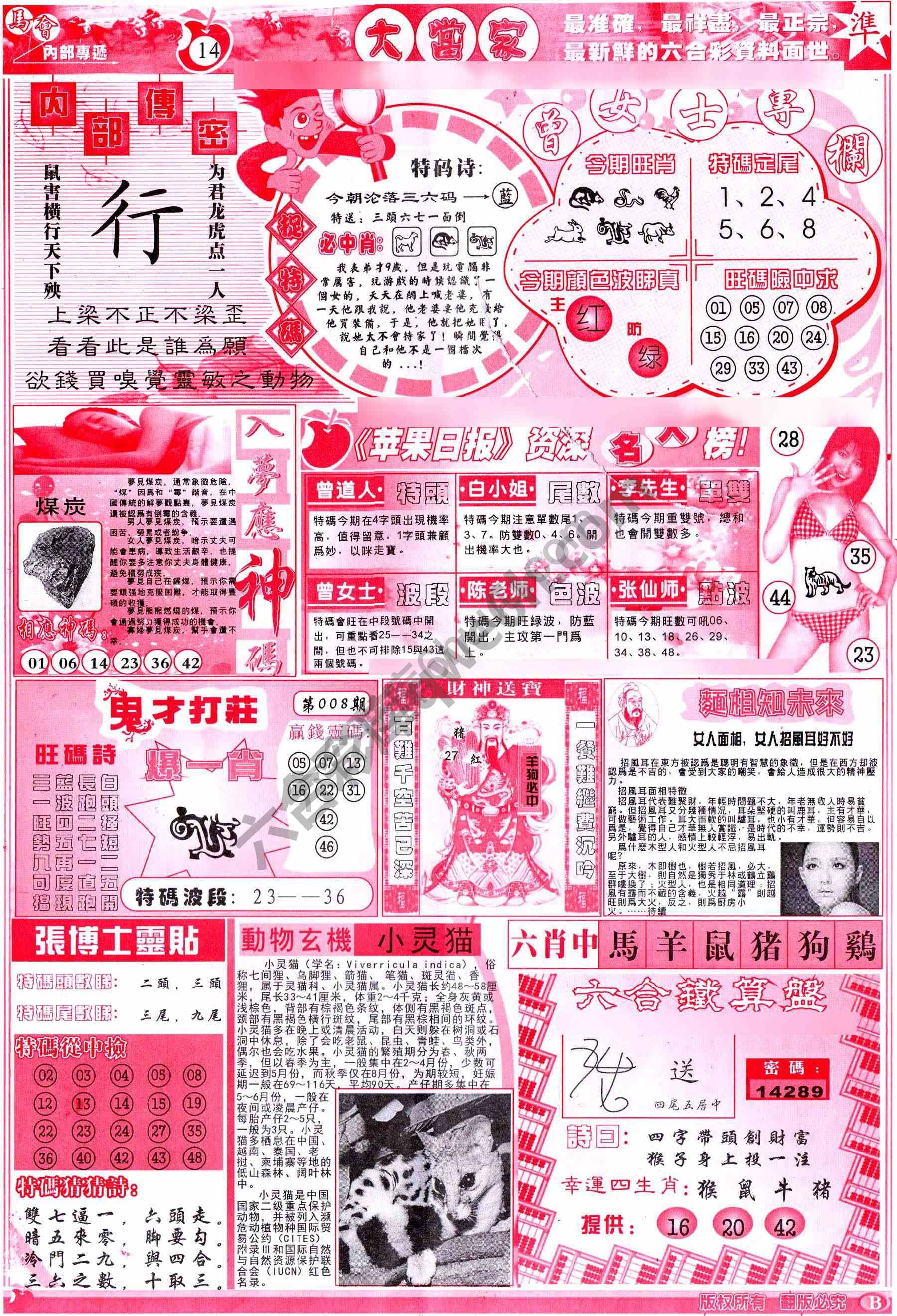 大当家