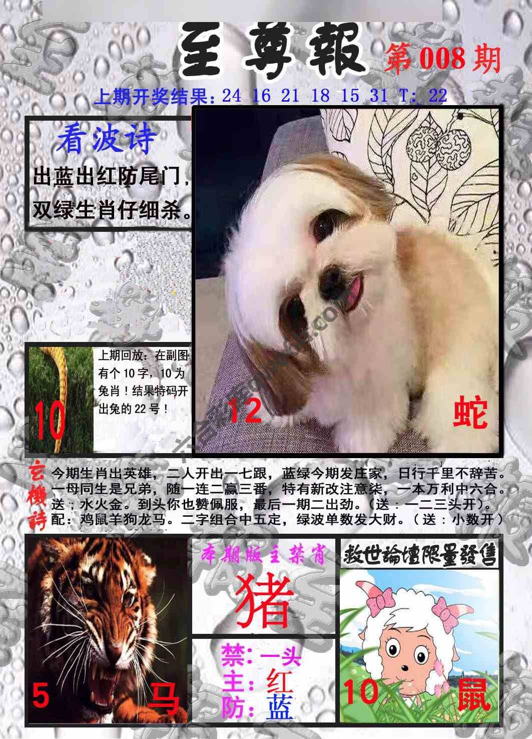 至尊报