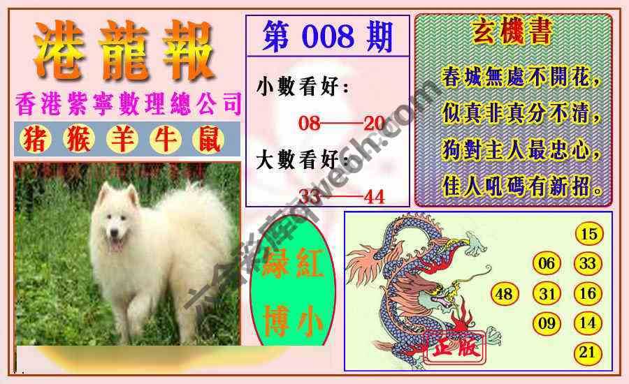 港龙报