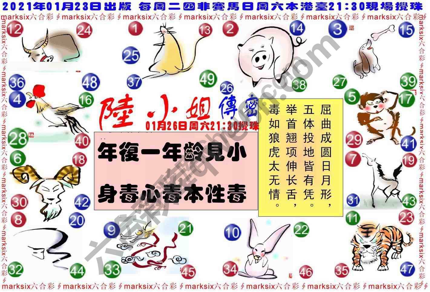 陆小姐传密