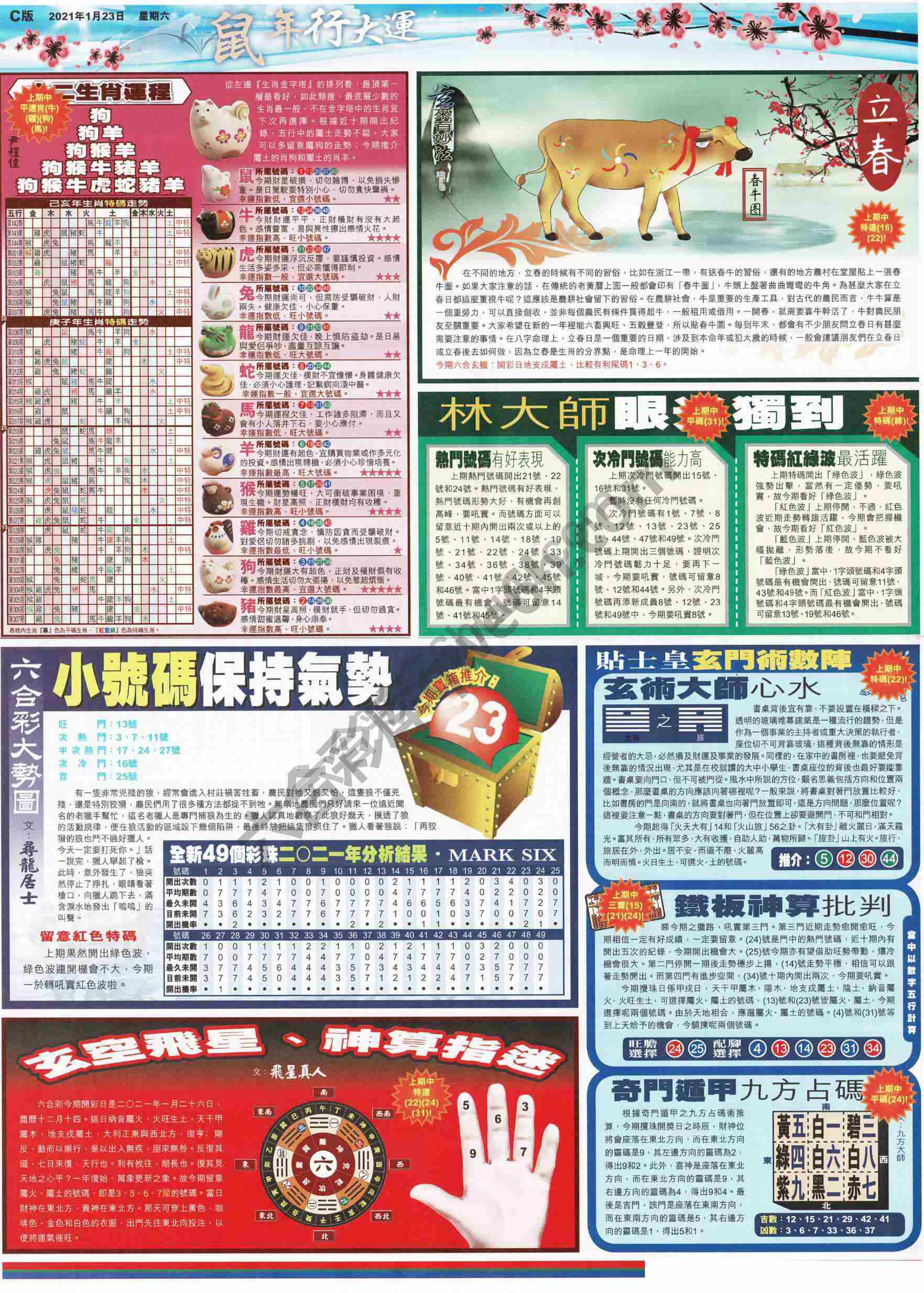 大版贴士皇
