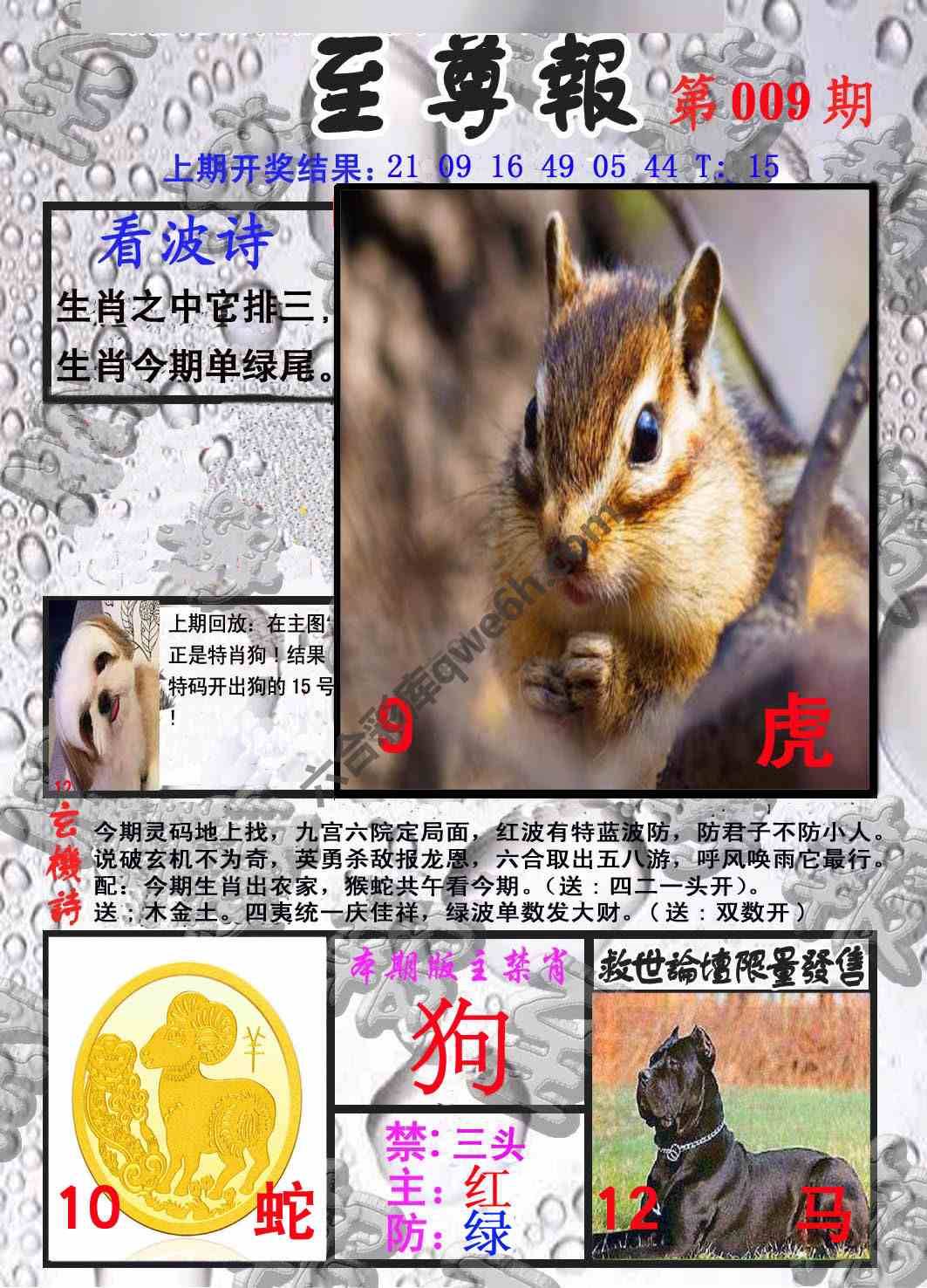 至尊报