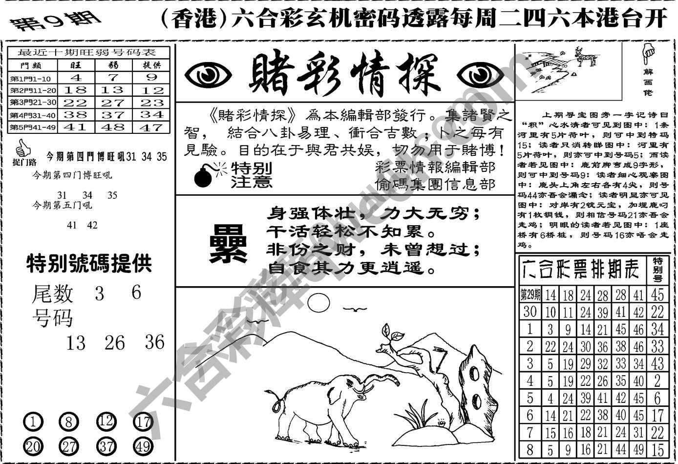 赌彩情探