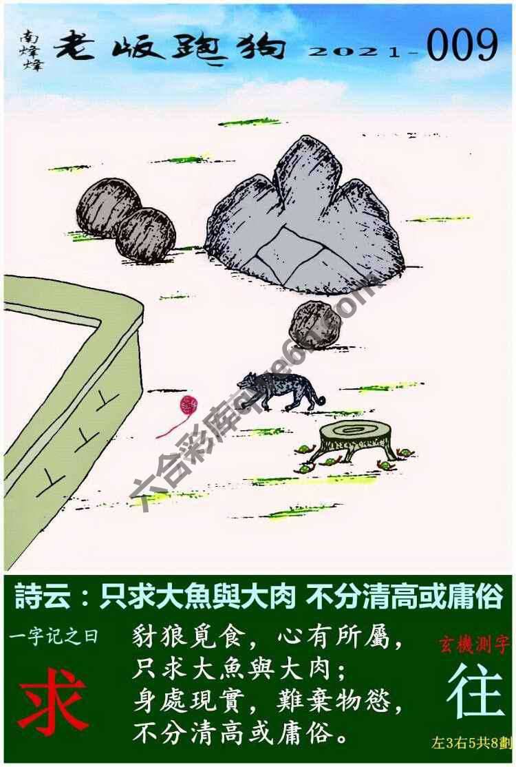 老版跑狗图