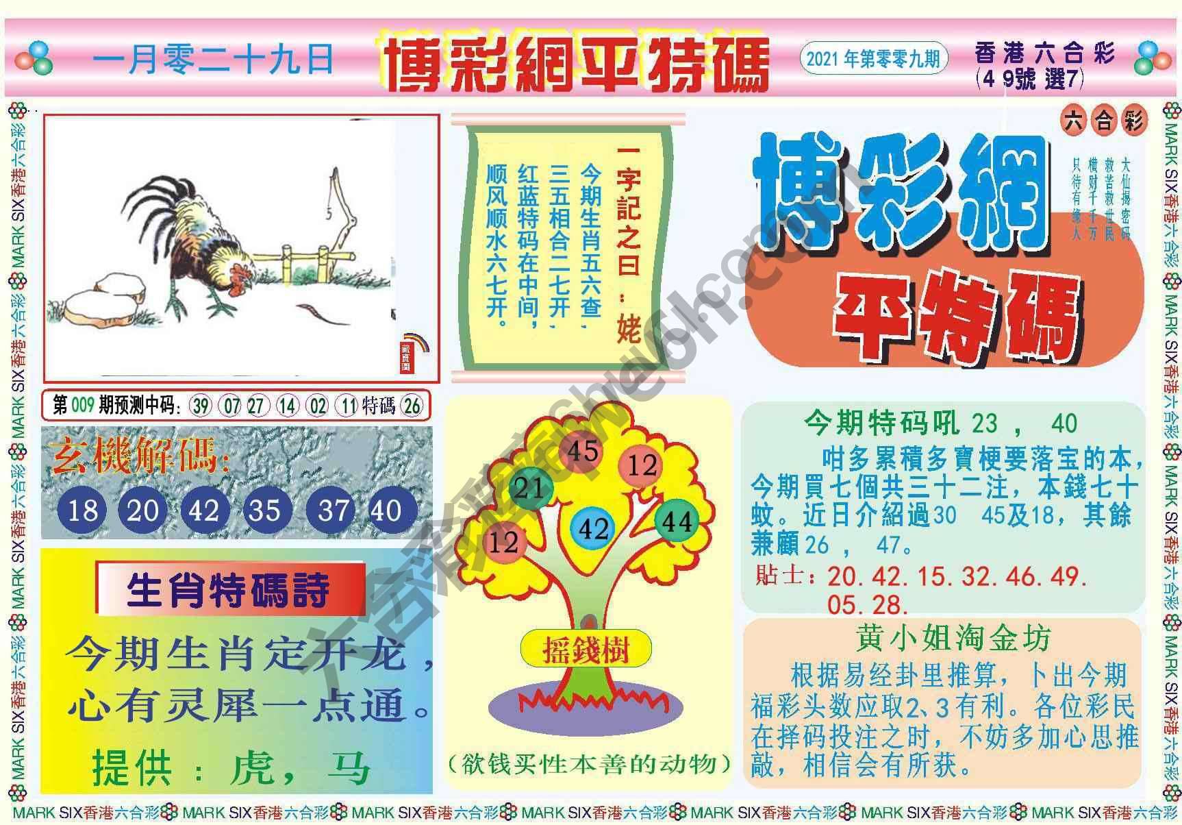 博彩网平特码