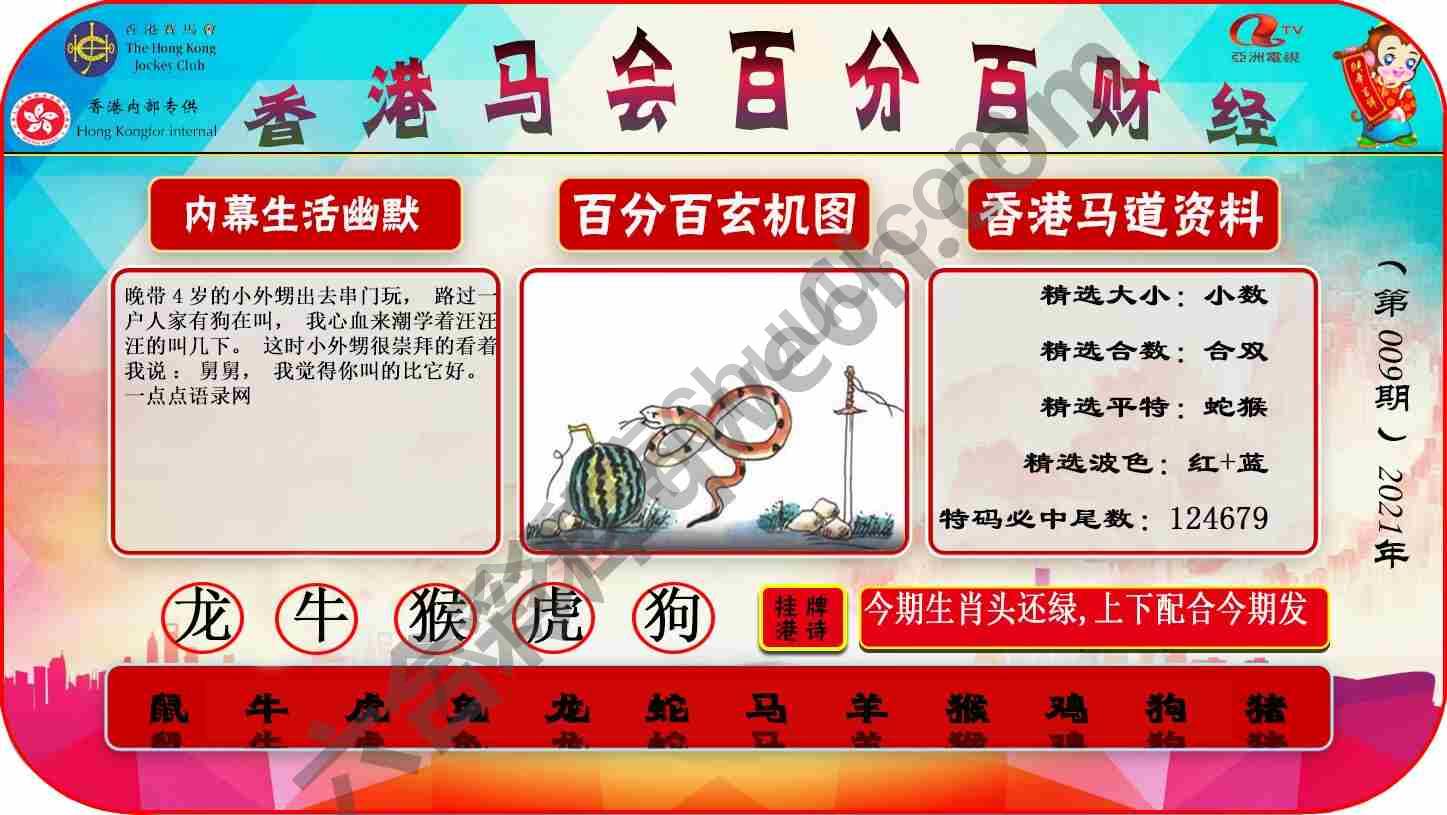 百分百财经