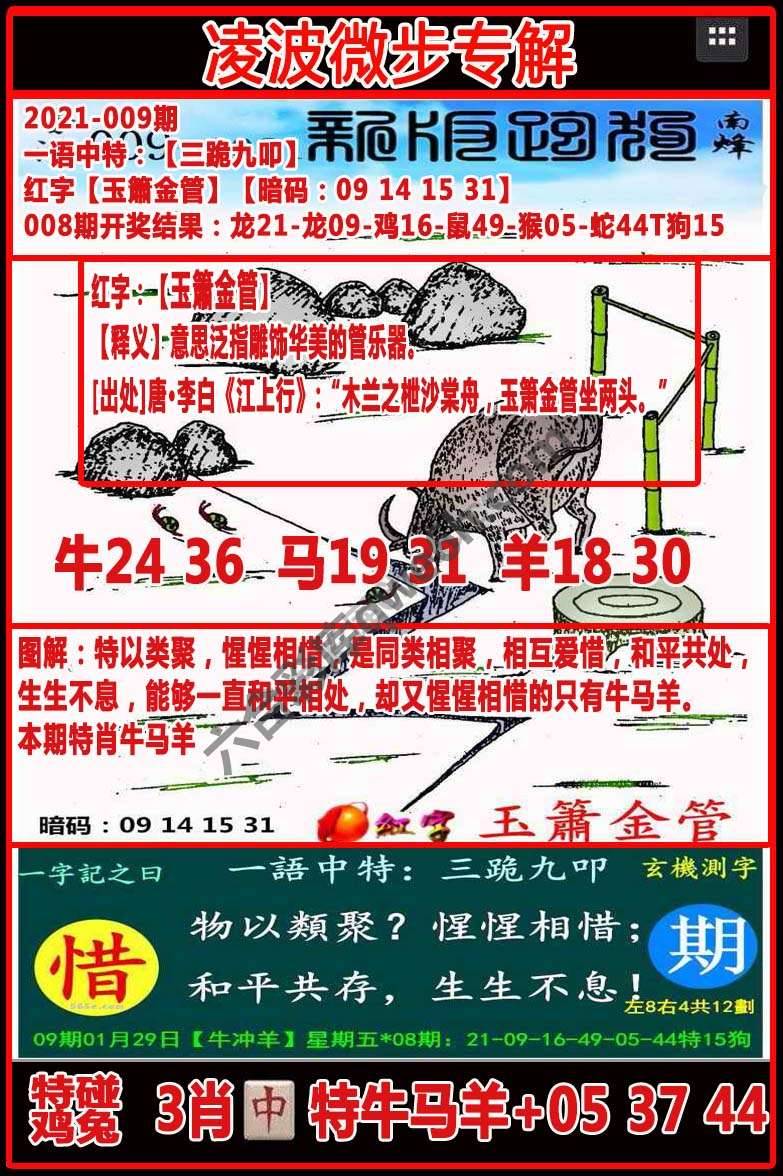 凌波微步解跑狗