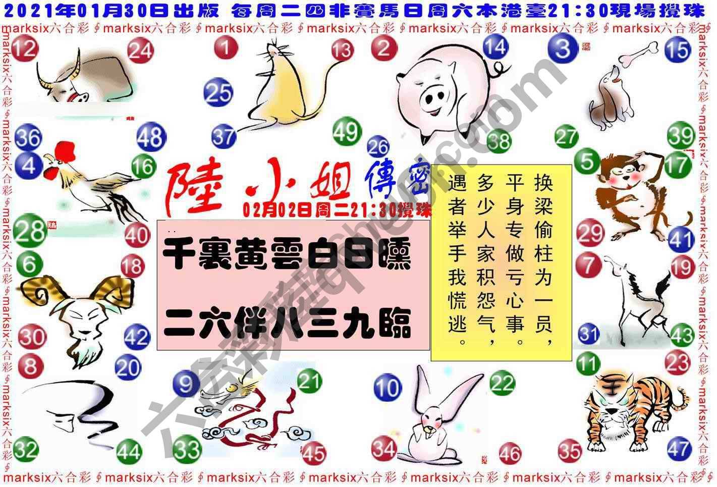 陆小姐传密
