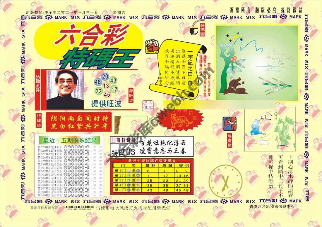 特码王