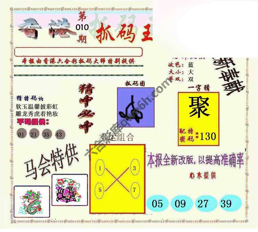 新抓码王