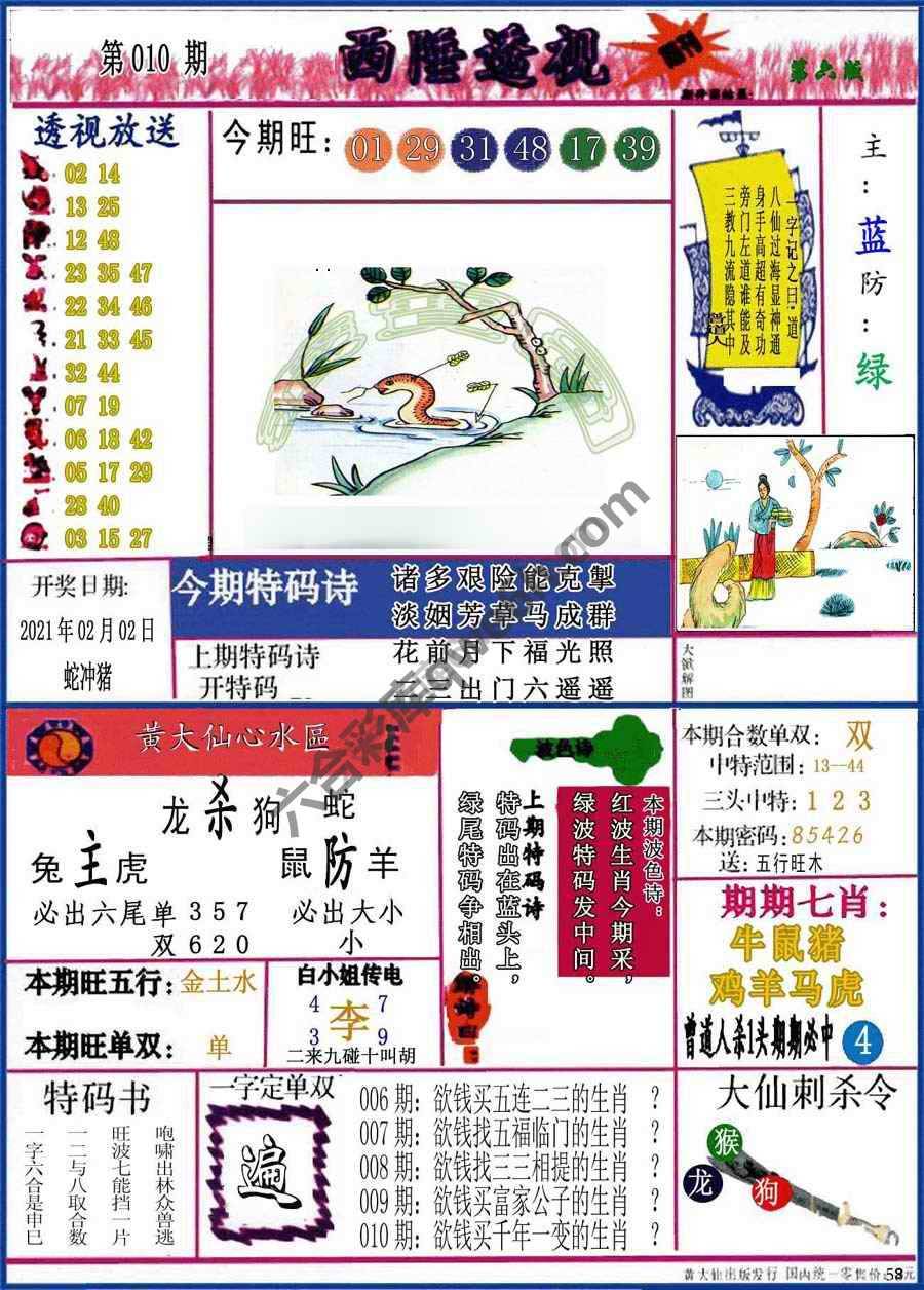 西陲透视（正版）