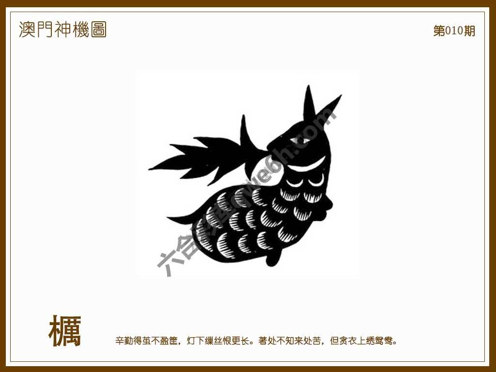 澳门神机图