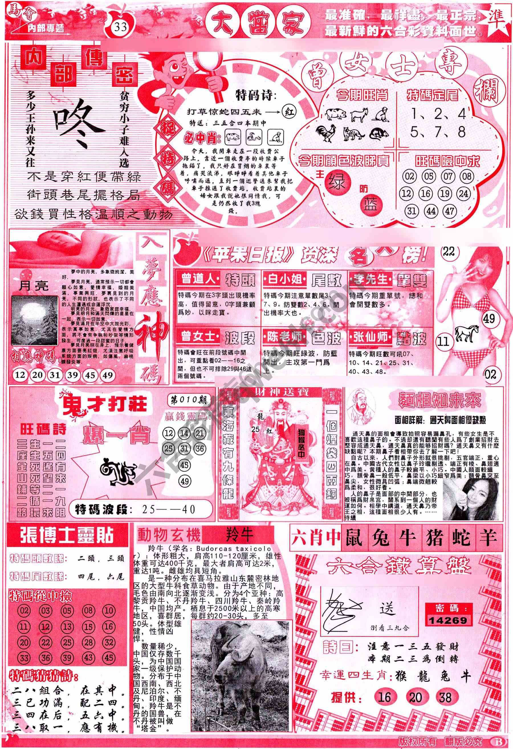 大当家