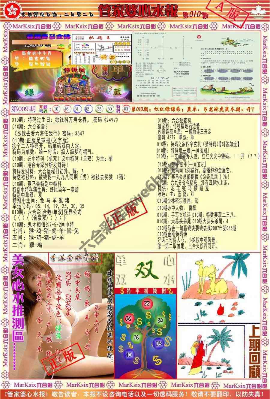 管家婆心水报