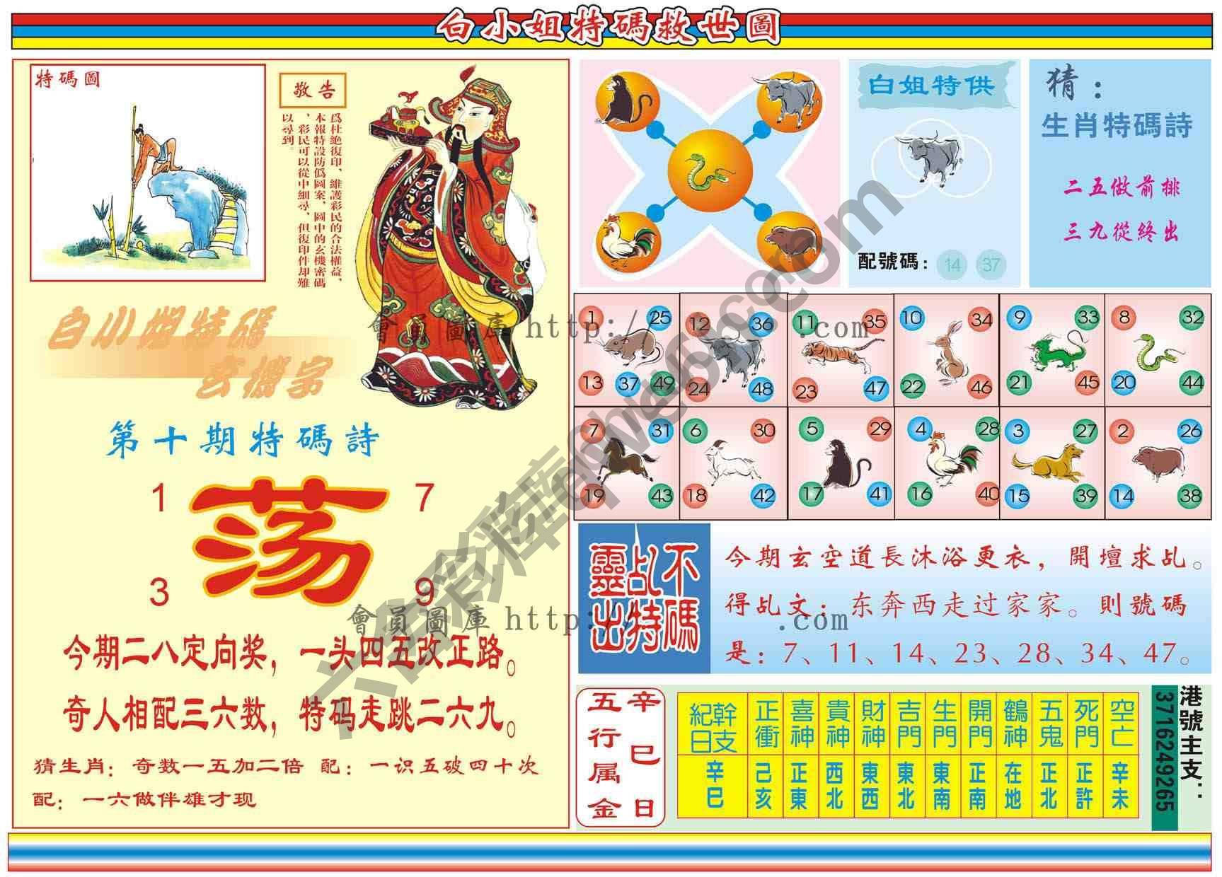 白小姐特码救世报