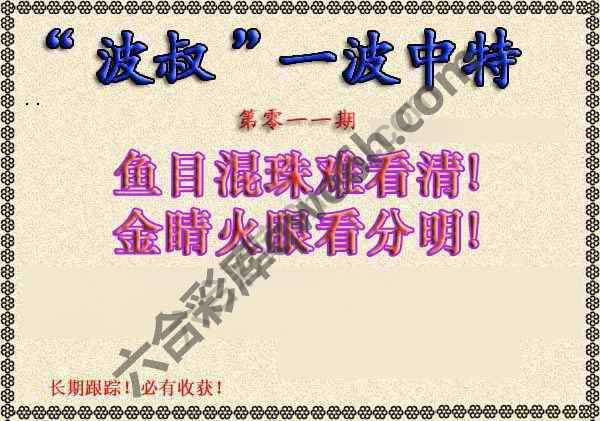 波叔一波中特