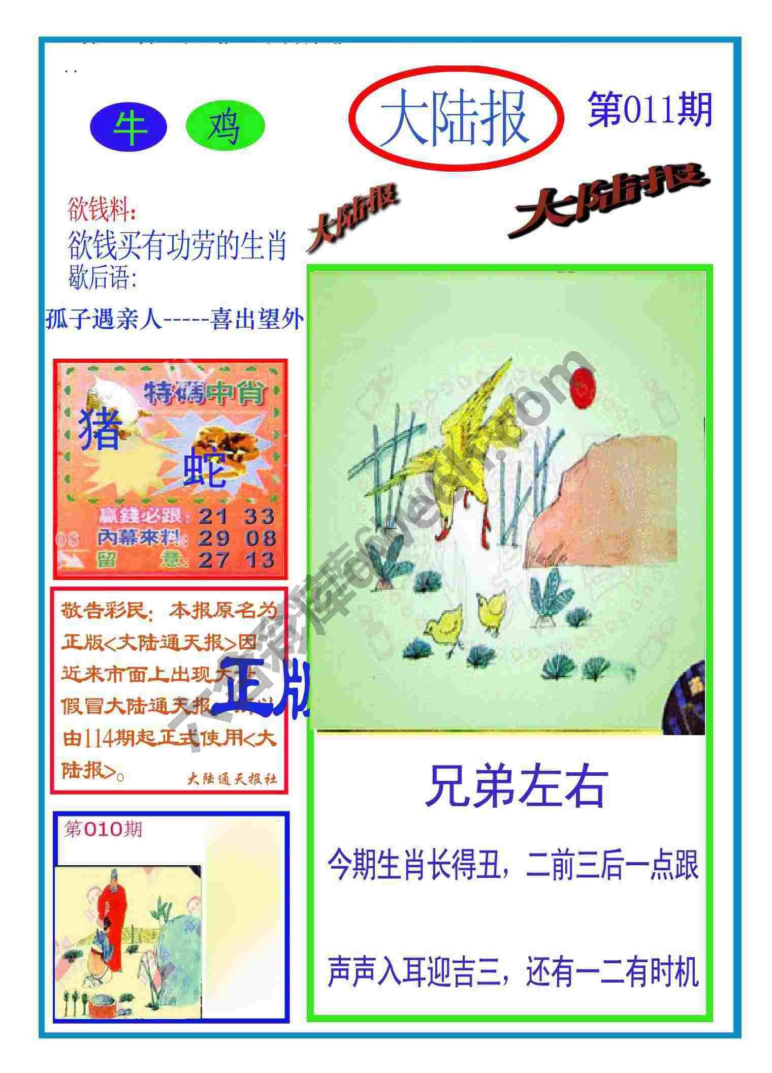 大陆报