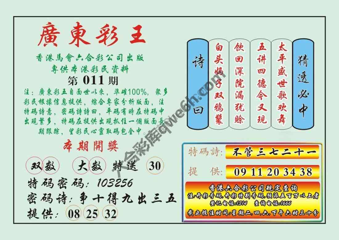 广东彩王