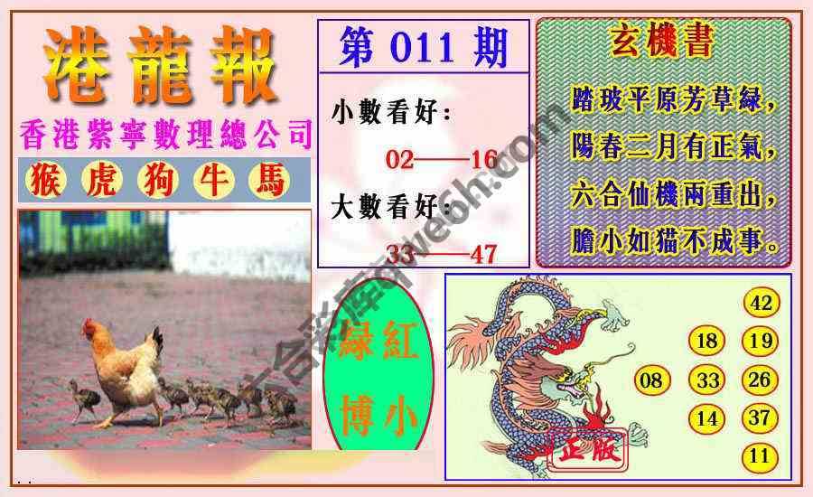港龙报