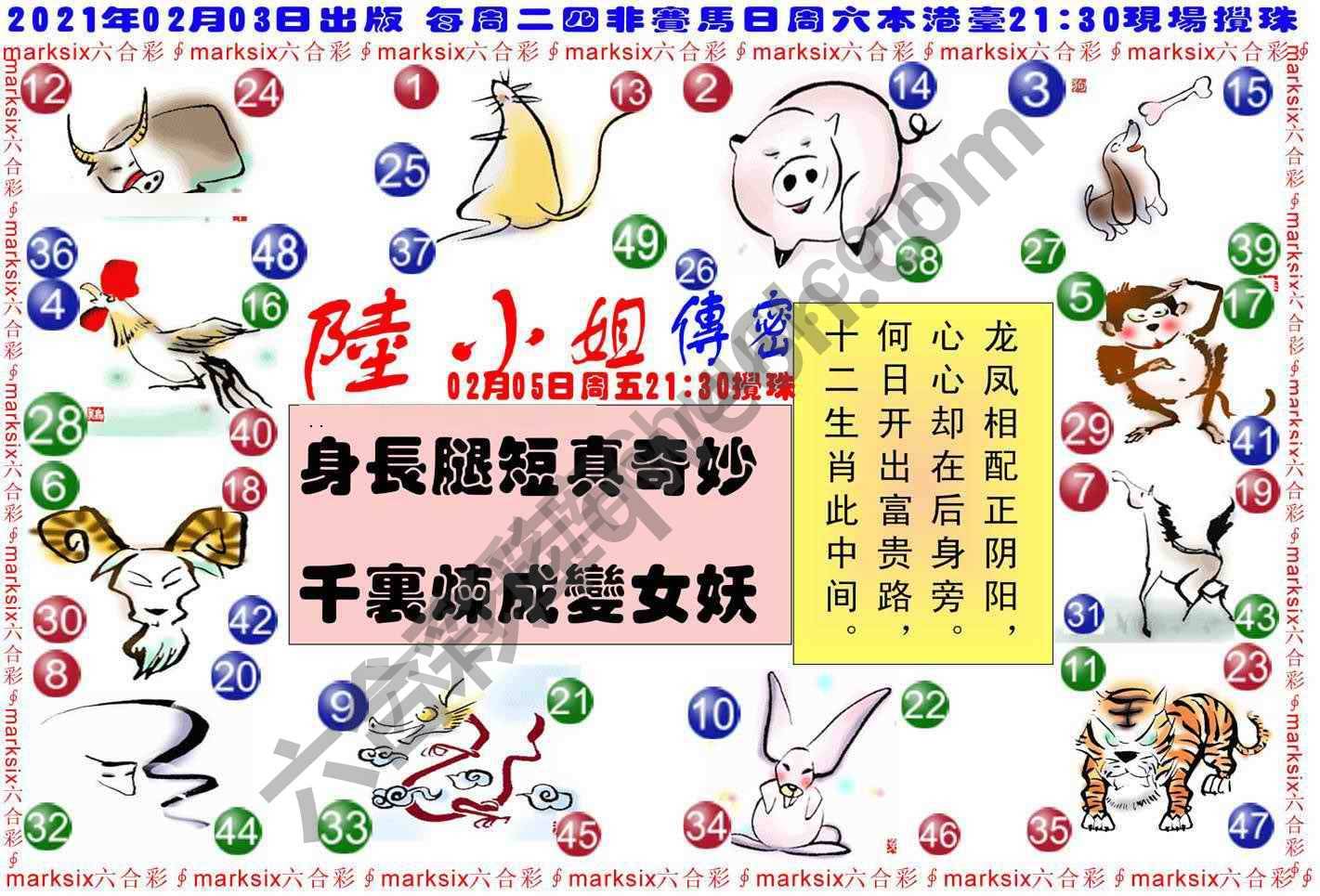 陆小姐传密